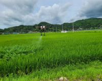 [NSP PHOTO]광양시, 벼 병해충 적기 방제로 병해충 확산 방지 온힘