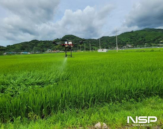 NSP통신-드론 방제 (사진 = 광양시청)