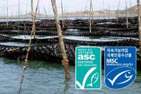 [NSP PHOTO]신안군, 지주식 김양식장 세계 최초 국제인증 받아