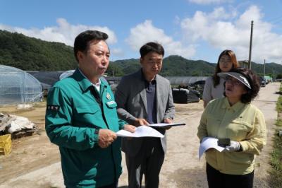 [NSP PHOTO]안동시, 우량 지황 종근 생산.보급 통해 농가 소득증대 및 지역경제 활성화 나서