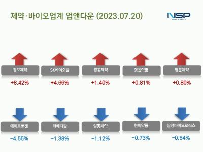 [NSP PHOTO][업앤다운]제약주 상승…경보제약·SK바이오팜↑