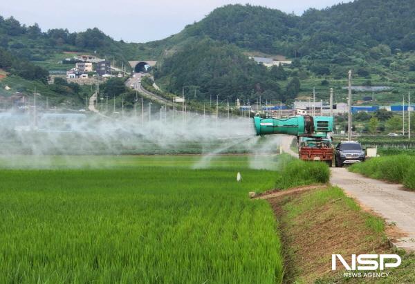 NSP통신-여수시가 친환경 벼 생산단지에 대해 병해충 공동방제에 나선다. (사진 = 여수시)