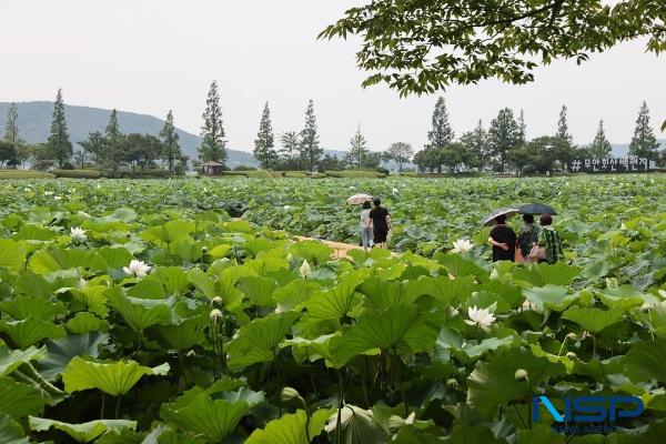 NSP통신- (사진 = 무안군)