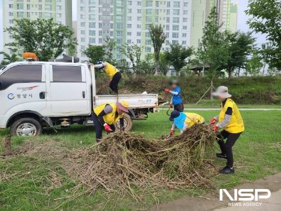 NSP통신-동천 일원에 쌓인 나뭇가지 등 부유물 청소 (사진 = 광양시청)