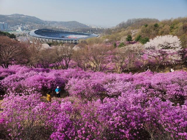 NSP통신-부천8경 중 3경 진달래동산. (사진 = 부천시)