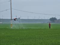 [NSP PHOTO]강진군, 벼 병해충 방제비 역대 최대 투입