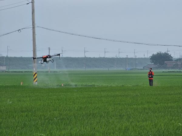 NSP통신- (사진 = 강진군)