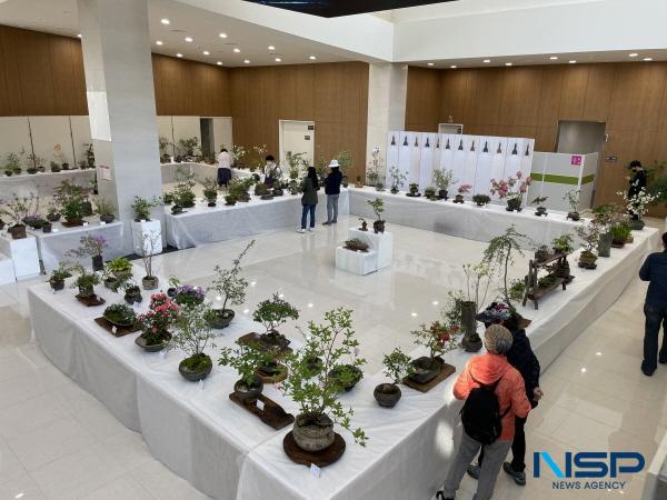 -구미시는 내달 8일부터 4일간 새마을 테마공원 전시관 1층 로비에서 제2회 무궁화 전시회 를 개최한다 사진 구미시