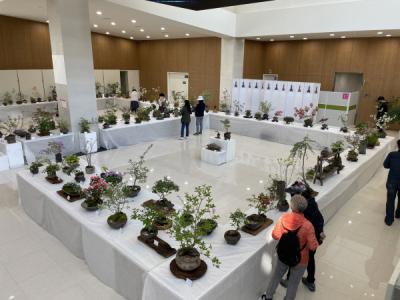 [NSP PHOTO]구미시 제2회 무궁화 전시회 개최