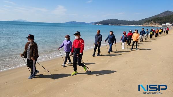 NSP통신- (사진 = 완도군)