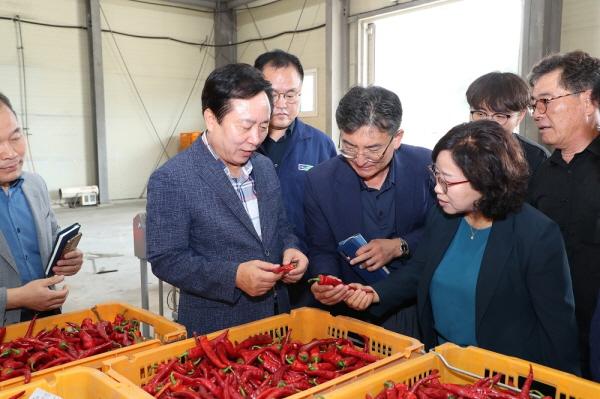 NSP통신-안동시 2023년산 홍고추 본격 출하, 북안동농협 홍고추 공판장 28일 개장 (사진 = 안동시)