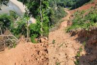 [NSP PHOTO]고흥군, 두원면 소재 무단 산림 훼손 의혹 제기