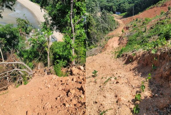 NSP통신-산림경영계획 인가를 받은 인근 전경[사진=NSP통신]