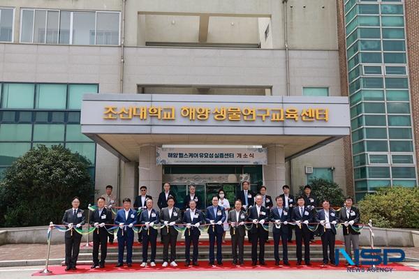 NSP통신- (사진 = 완도군)