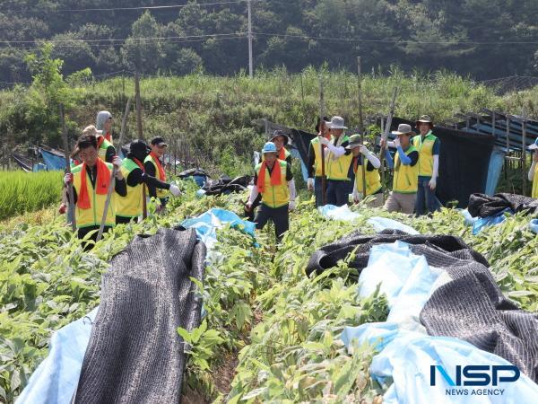 NSP통신-포항시의회는 1일 집중호우로 큰 피해를 입은 예천군을 찾아 수해 복구 지원활동을 펼쳤다. (사진 = 포항시의회)