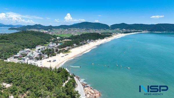 NSP통신- (사진 = 완도군)