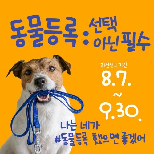 NSP통신- (사진 = 강진군)