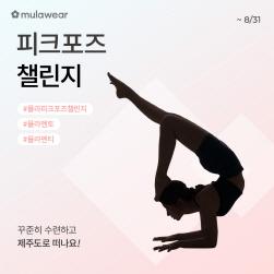 NSP통신-피크포즈 챌린지 (이미지 = 뮬라웨어 제공)