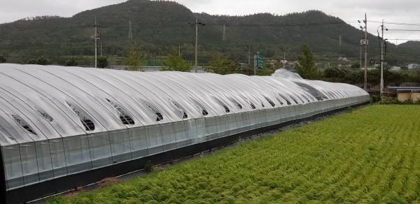 NSP통신- (사진 = 강진군)