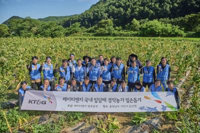 [NSP PHOTO]KT&G, 잎담배 수확 봉사활동 진행
