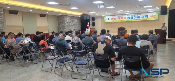 NSP통신- (사진 = 무안군)