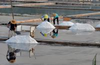 [NSP PHOTO]신안군, 천일염 기한 없이 지속적 판매