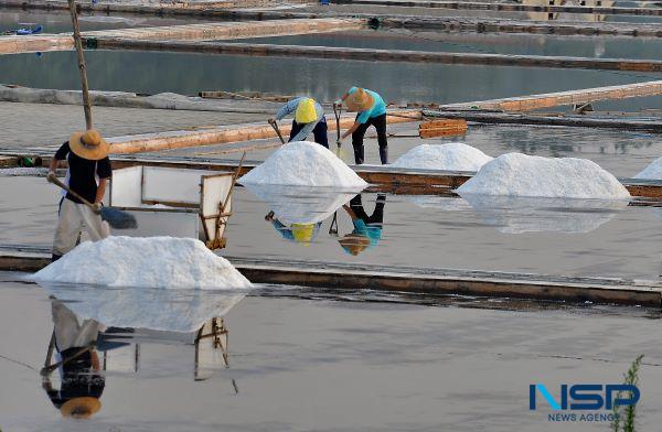 NSP통신- (사진 = 신안군)