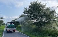 [NSP PHOTO]담양군, 미국흰불나방 등 돌발해충 방제 총력