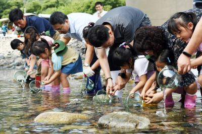 [NSP PHOTO]문경시, 자연생태계 복원 위해 토종물고기 치어 방류