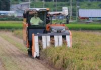 [NSP PHOTO]광양시, 올해 벼 첫 수확 나서