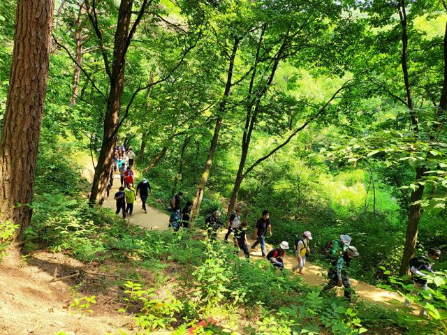 NSP통신-맨발걷기 축제 시민들 참여 모습. (사진 = 원주시)