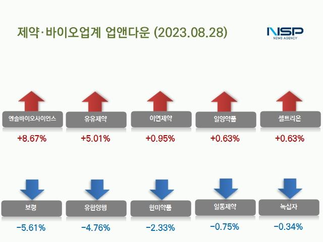 NSP통신- (이미지 = 김다은기자)