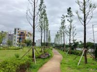 [NSP PHOTO]광양시, 도심지 시민 운동길 조성 추진 눈길