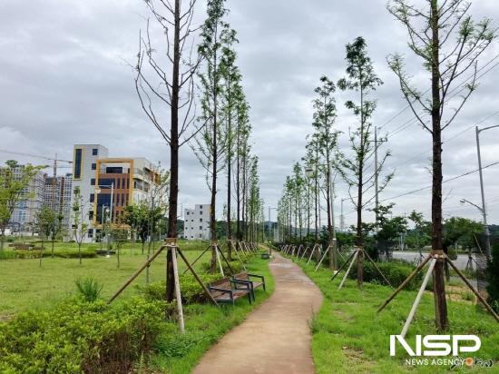 NSP통신-와우공원~마동체육공원 구간 산책로 (사진 = 광양시청)