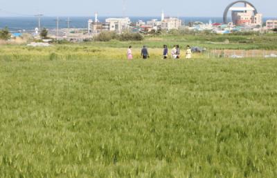 [NSP PHOTO]농업진흥청 공모 선정, 포항 호미곶 로컬맥주 성지로 거듭난다