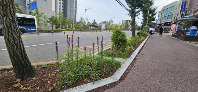 NSP통신-광명시가 도심 속 거리를 걸으며 작은 정원을 즐길 수 있도록 조성한 띠녹지. (사진 = 광명시)