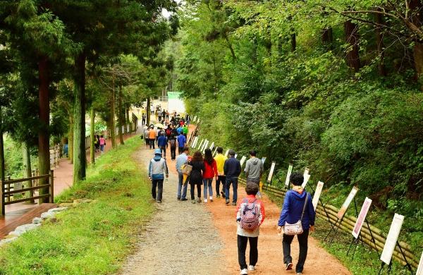 NSP통신- (사진 = 장성군)