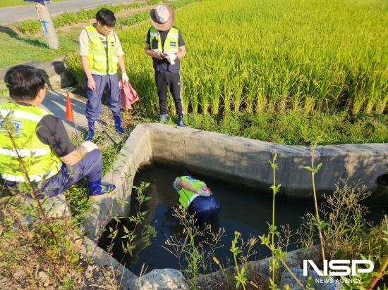 NSP통신-옥곡천 하천 내 부유쓰레기 수거 (사진 = 광양시청)