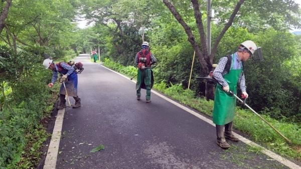 NSP통신- (사진 = 장흥군)