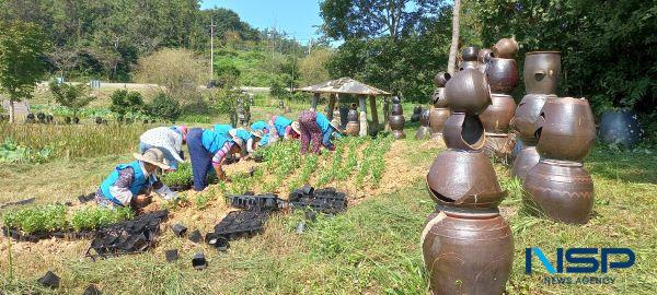 NSP통신- (사진 = 진도군)