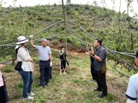 [NSP PHOTO]광양시, 지역특화품목 신기술 실용화 현장 컨설팅 추진