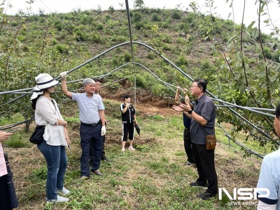 NSP통신-지역특화품목 신기술 실용화 현장 컨설팅 (사진 = 광양시청)