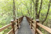 [NSP PHOTO]광양시, 백운산 등산로 정비 완료