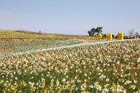 [NSP PHOTO]신안군, 지도읍 선도마을 탄소중립 마을로 선정