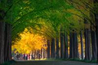 [NSP PHOTO]담양군, 추석 연휴  관광 종합대책 마련