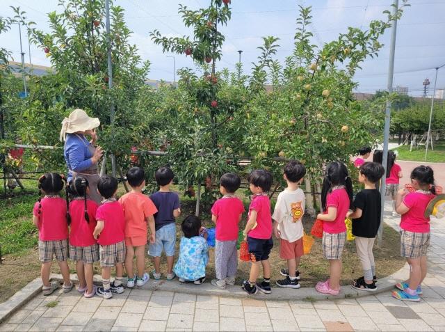 NSP통신-어린이들이 사과수확 체험을 하는 모습. (사진 = 수원시)