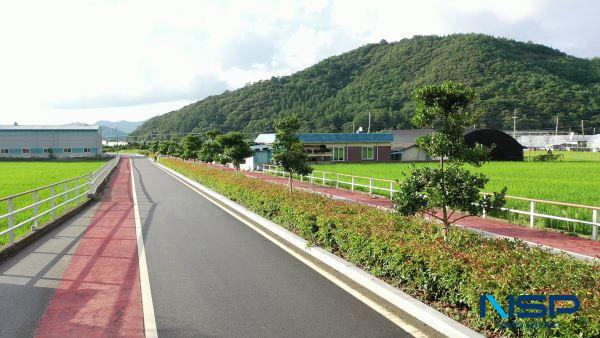 NSP통신- (사진 = 완도군)