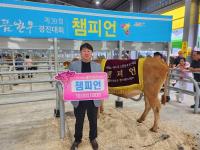 [NSP PHOTO]강진군 한우, 전남 으뜸한우 중 종합 챔피언 등극