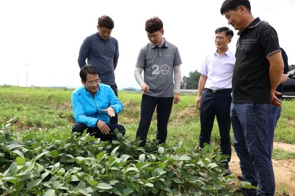 NSP통신-강진원 강진군수(사진 맨 왼쪽)가 논콩 재배지를 살피며 농업인들과 의견을 교환하고 있다. (사진 = 강진군)