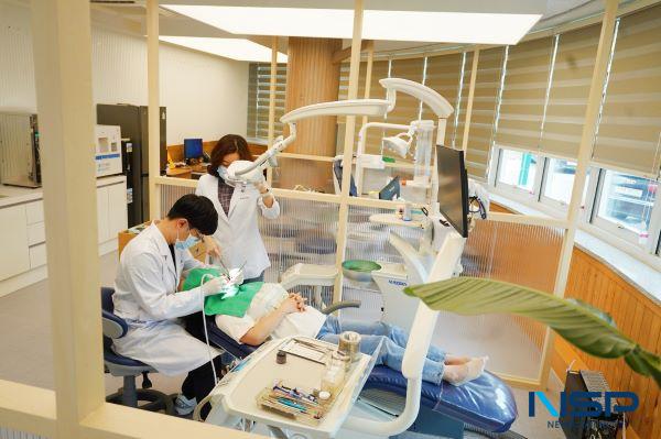 NSP통신- (사진 = 해남군)